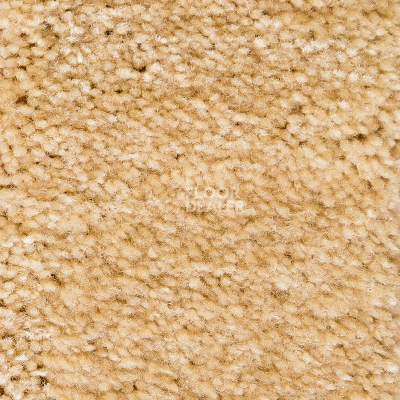 Ковролин AW Masquerade Gaudia 36 фото 1 | FLOORDEALER